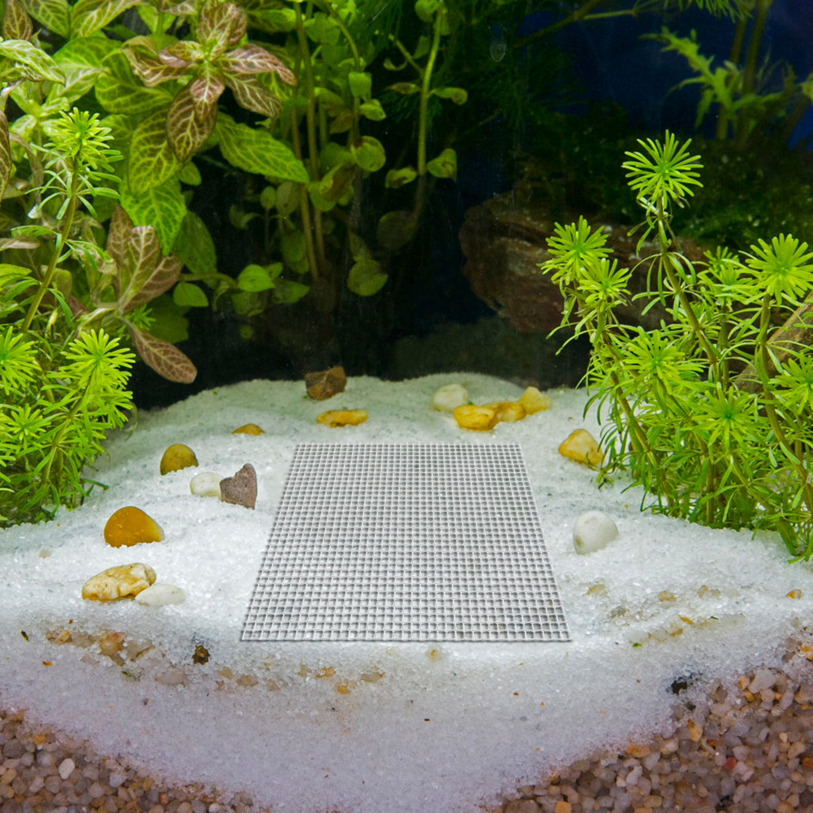 12Pcs Stainless Steel Aquarium - Aquarium Planted Tank Setup avis et prix