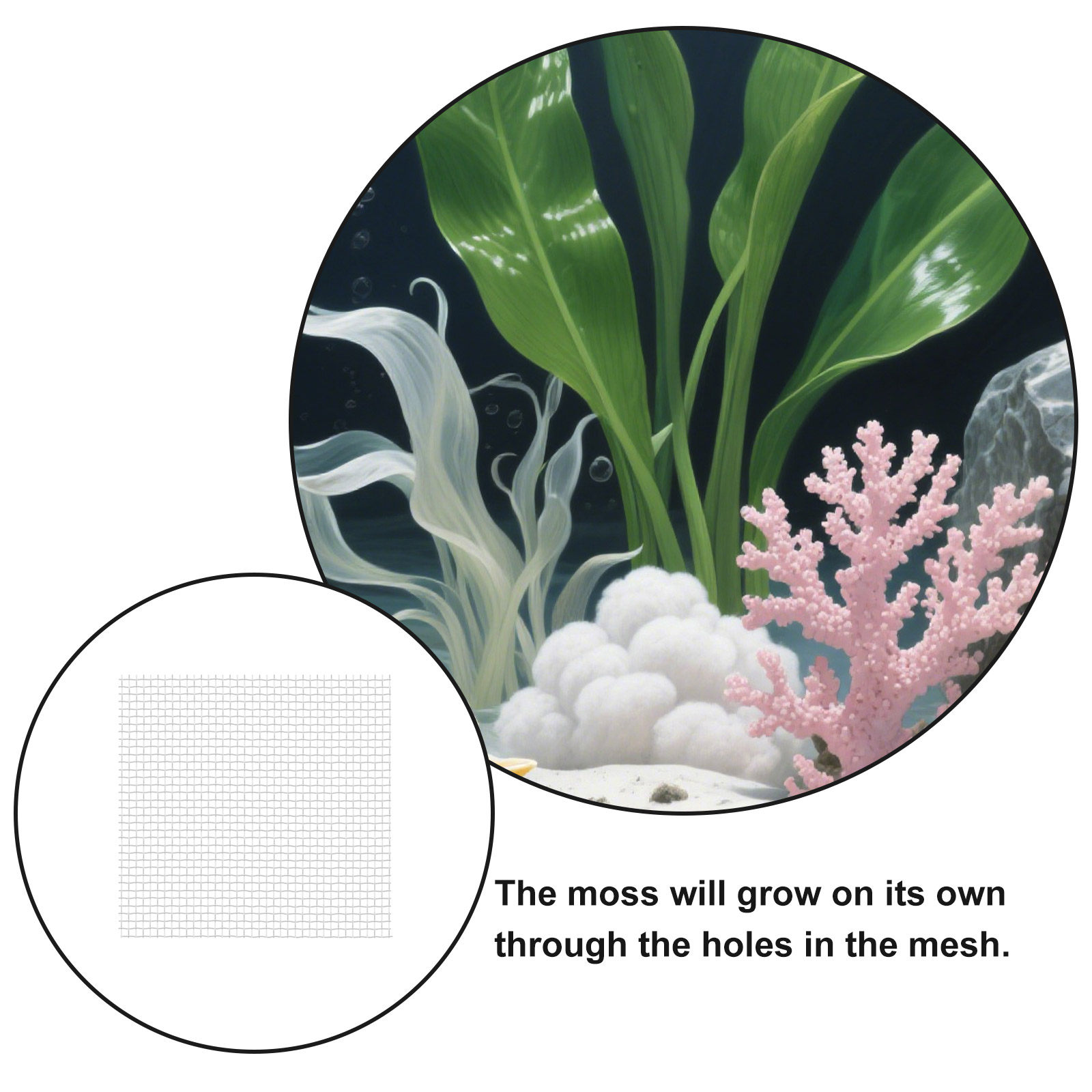 12Pcs Stainless Steel Aquarium - Aquarium Planted Tank Setup avis et prix