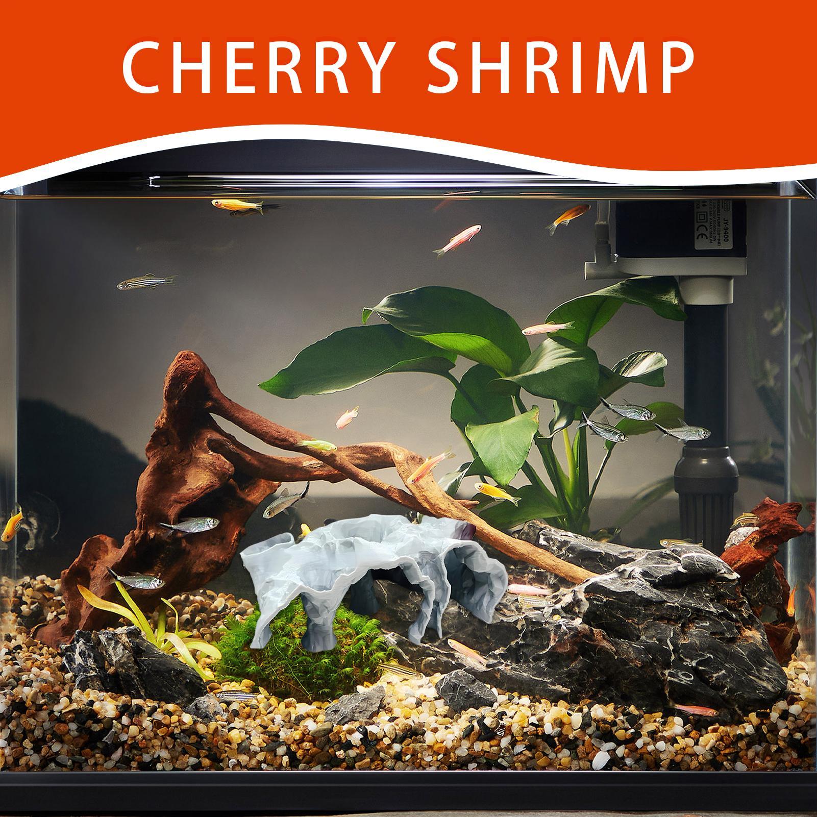 Fish Tank Cave Aquarium Underg - Planted Aquarium Betta avis et prix