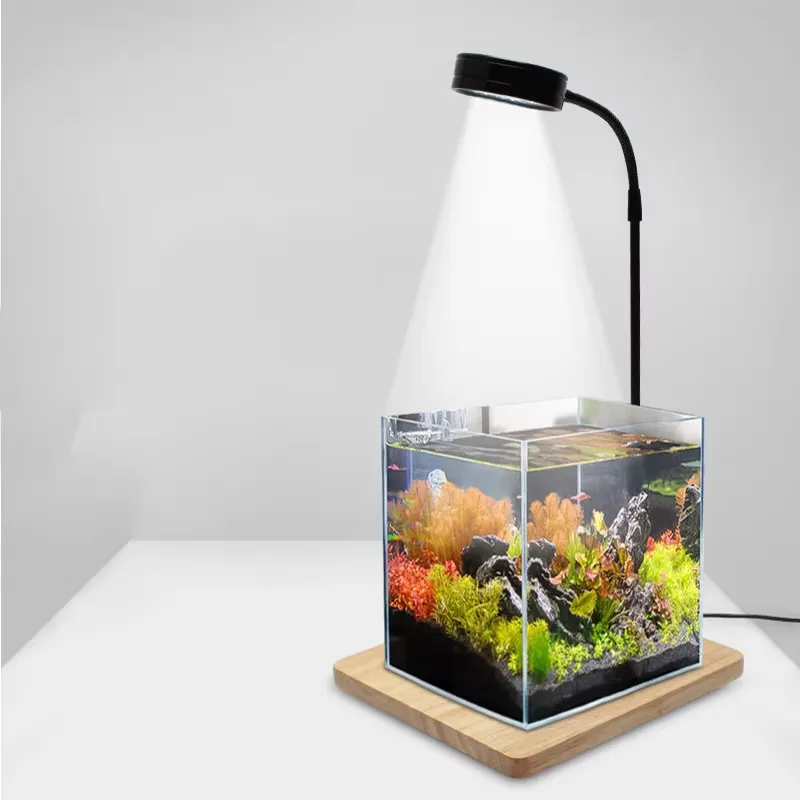 Full Spectrum LED Light with B - Planted Aquarium Hours avis et prix