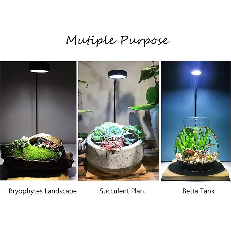 Full Spectrum LED Light with B - Planted Aquarium Hours avis et prix
