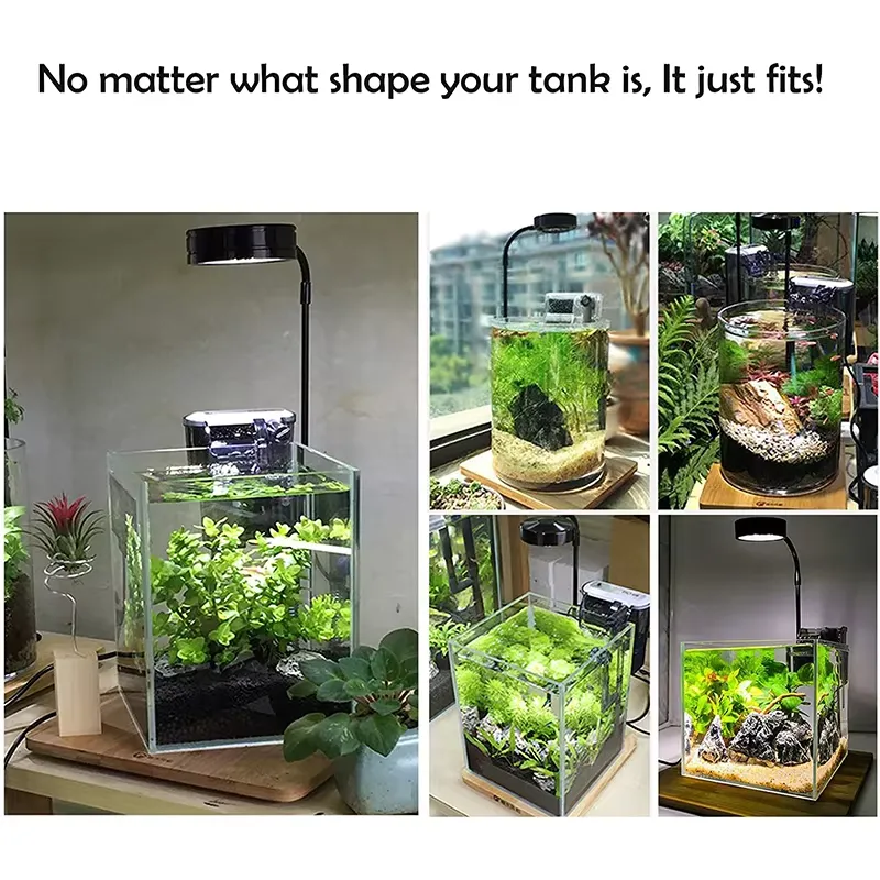 Full Spectrum LED Light with B - Planted Aquarium Hours avis et prix