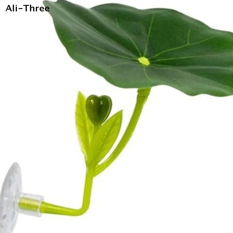Green Leaf Hammock For Betta F - Planted Aquarium Betta avis et prix