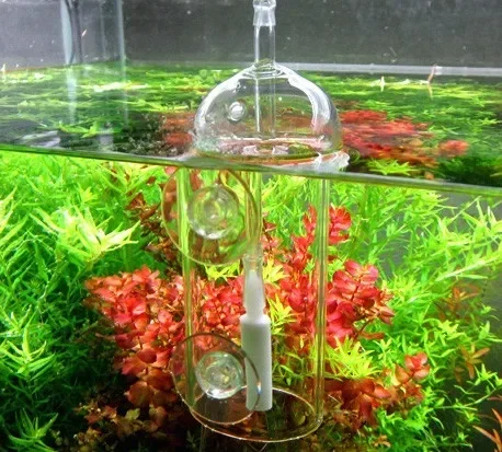 VIV Do Device Aquarium Cylinde - Aquarium Plant Live avis et prix