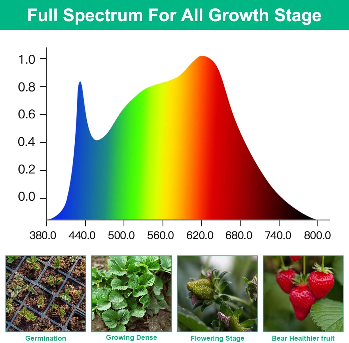 LED Grow Lamps Plant Full Spec - Aquarium Plant Seeds avis et prix