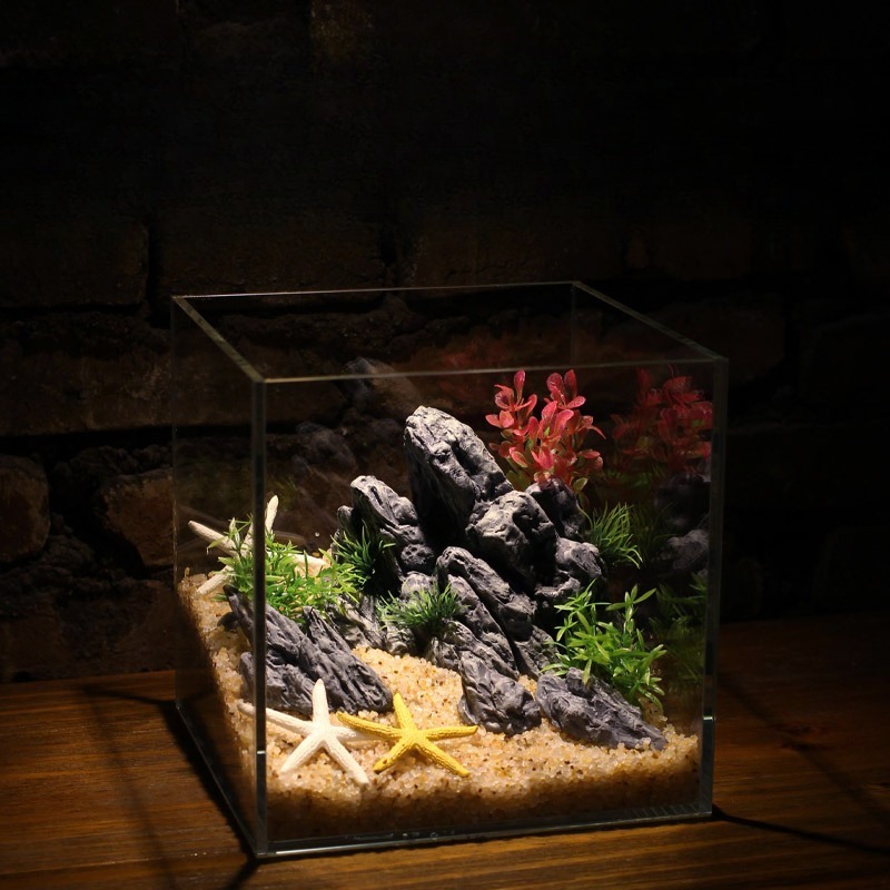Aquarium Decor Simulation Ston - Aquarium Planted Tank Setup avis et prix