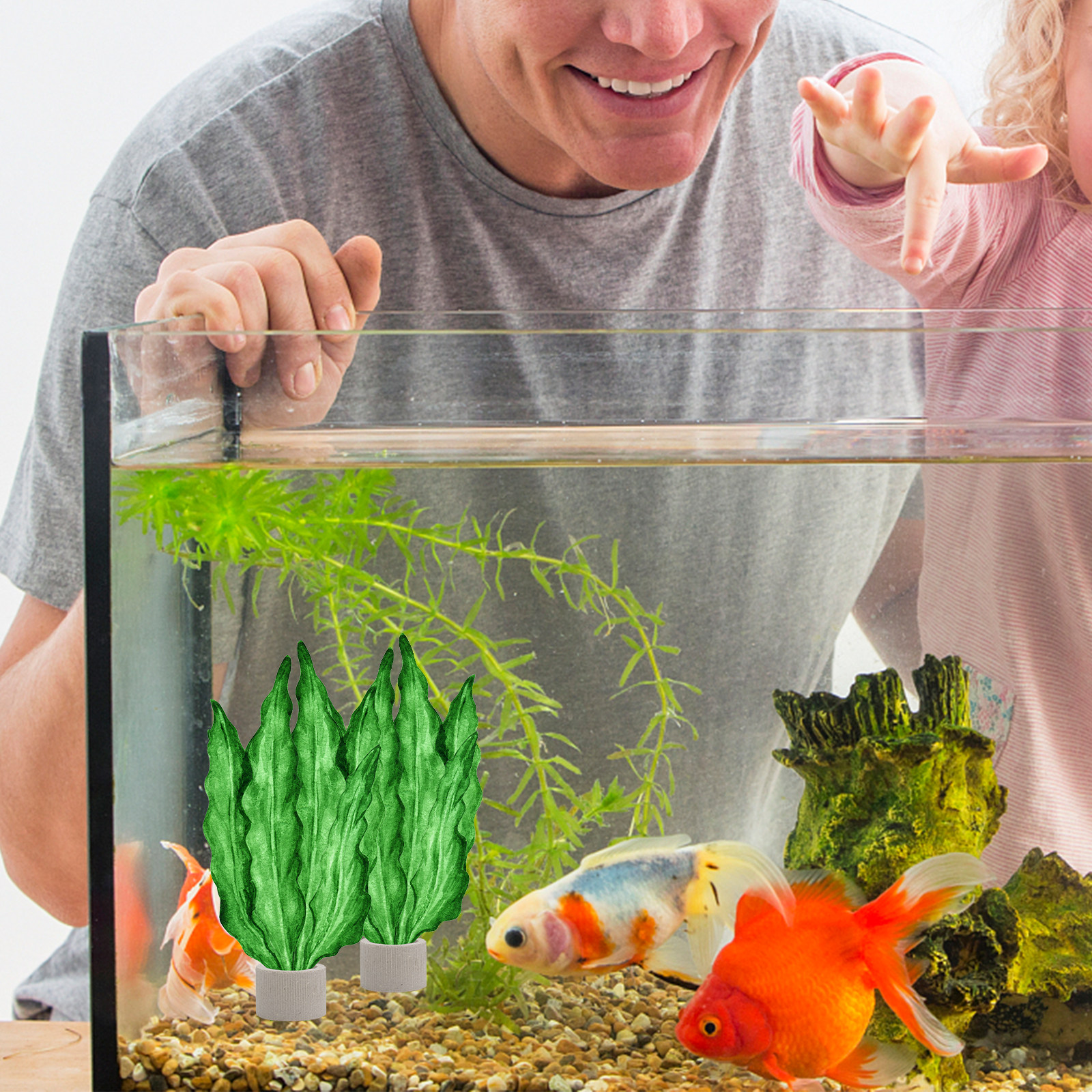 5Pcs Premium Pottery Water Pla - Aquarium Planting avis et prix