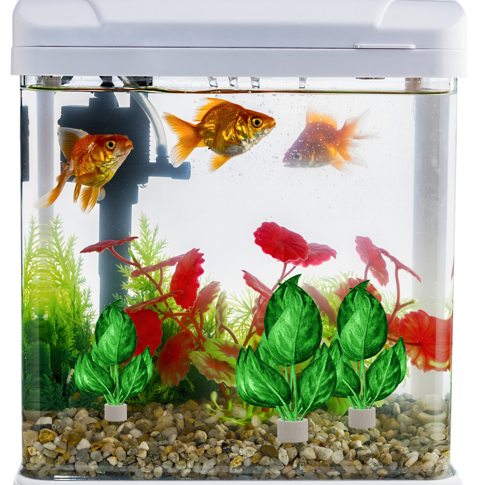 5Pcs Premium Pottery Water Pla - Aquarium Planting avis et prix