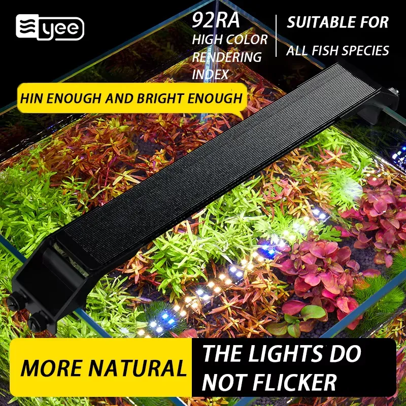 YEE Factory Wholesale Full Spe - Planted Aquarium Hours avis et prix