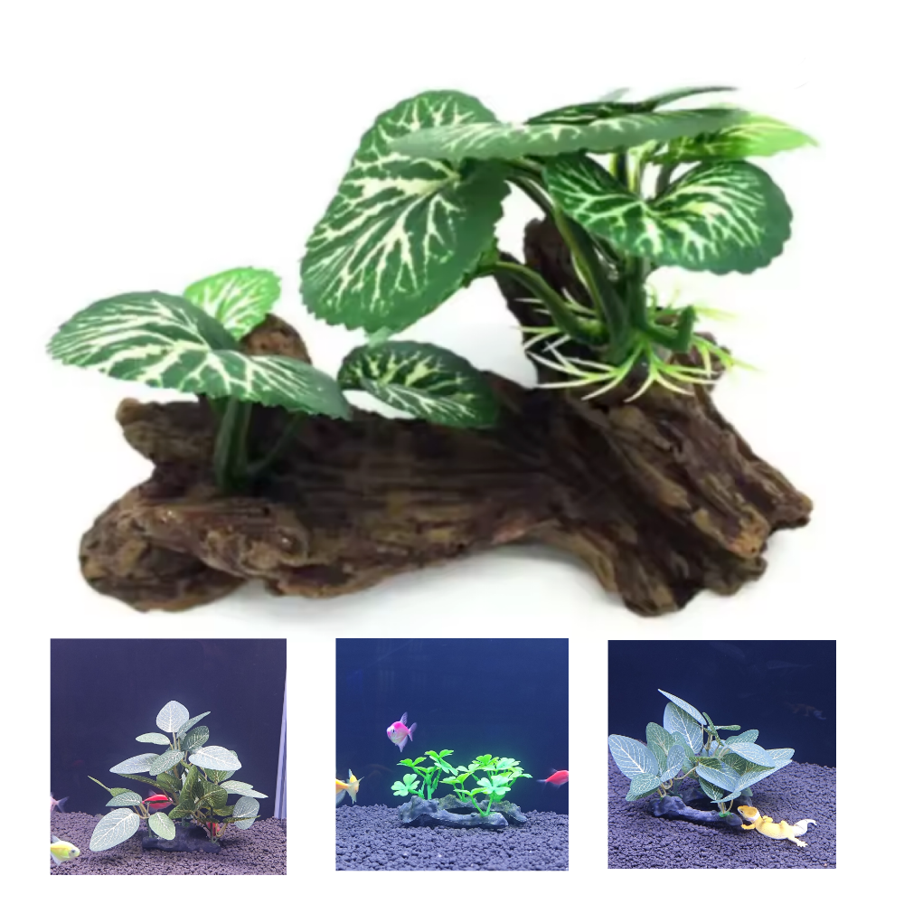 Aquarium simulation plant Plas - Aquarium Plant Seeds avis et prix