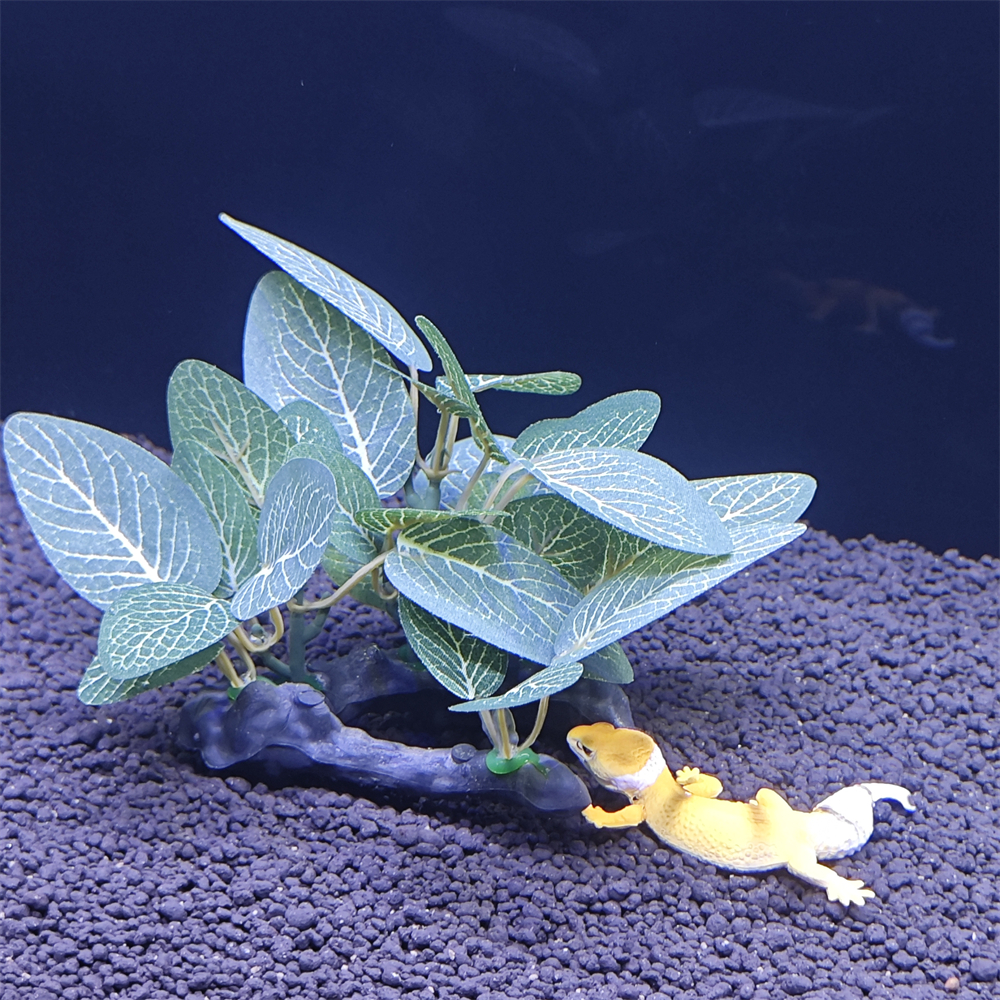 Aquarium simulation plant Plas - Aquarium Plant Seeds avis et prix