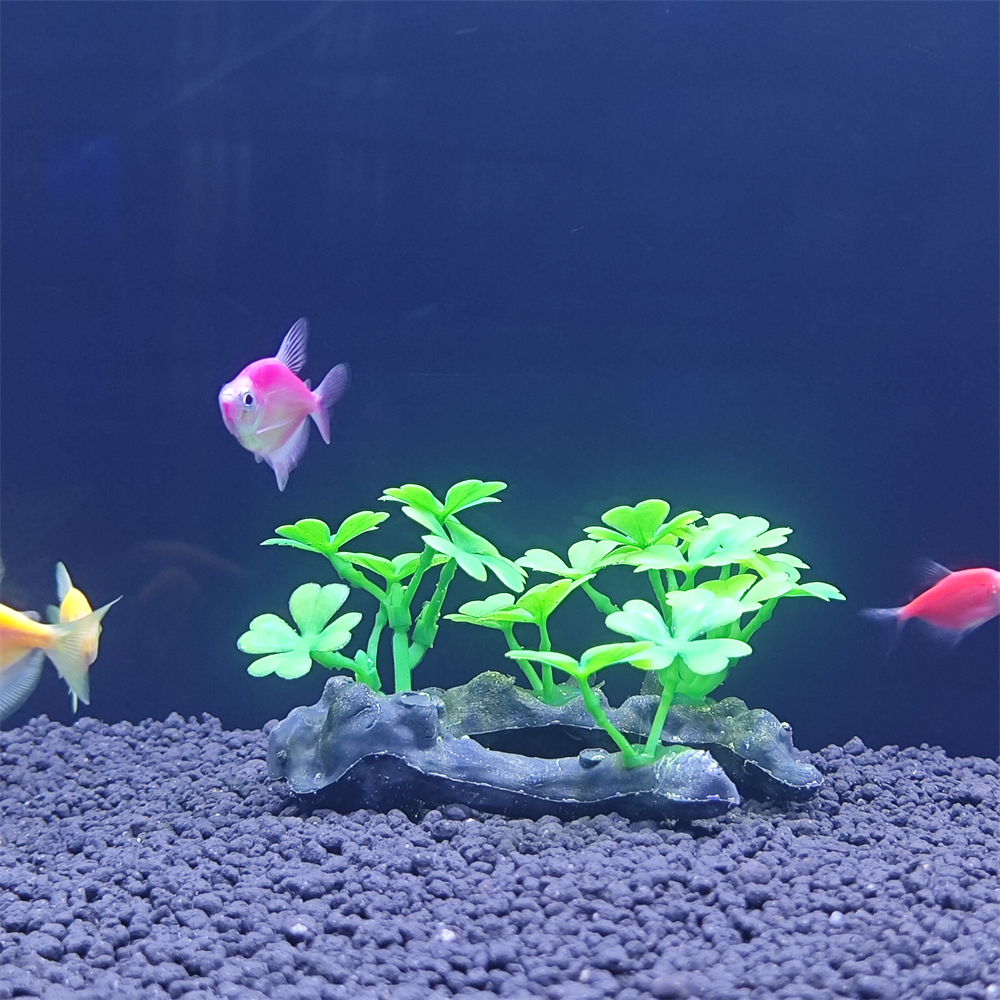 Aquarium simulation plant Plas - Aquarium Plant Seeds avis et prix