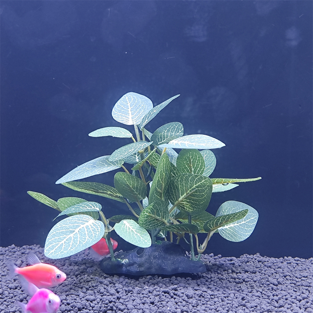 Aquarium simulation plant Plas - Aquarium Plant Seeds avis et prix