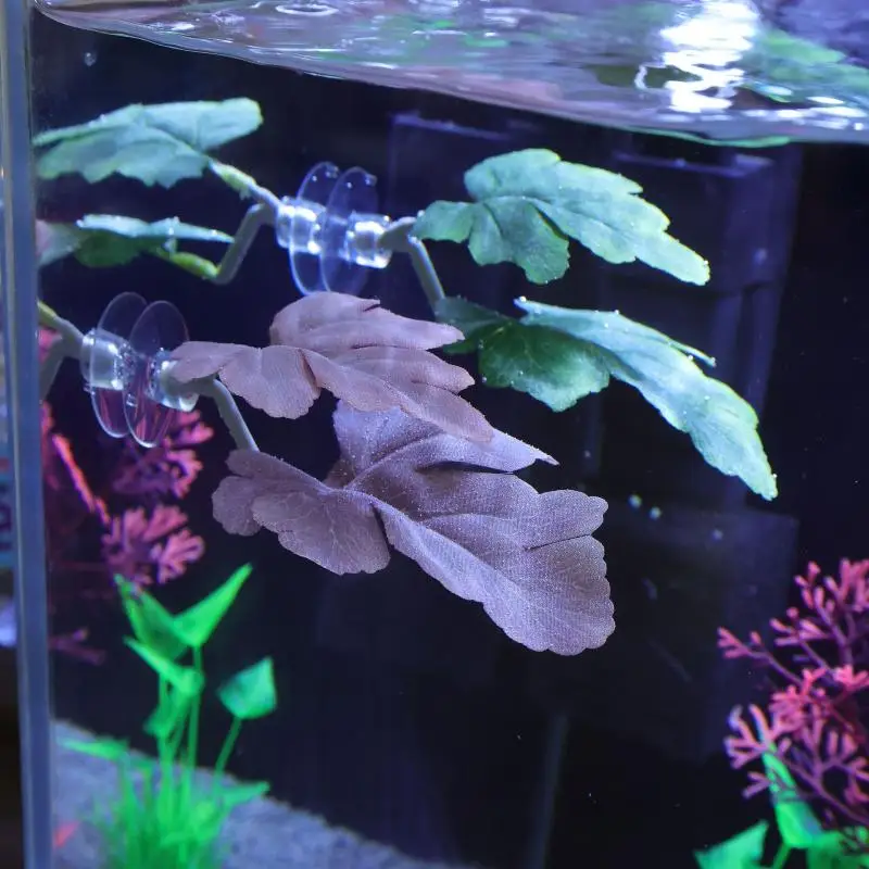 Betta Fish Leaf Hammock Aquari - Planted Aquarium Betta avis et prix