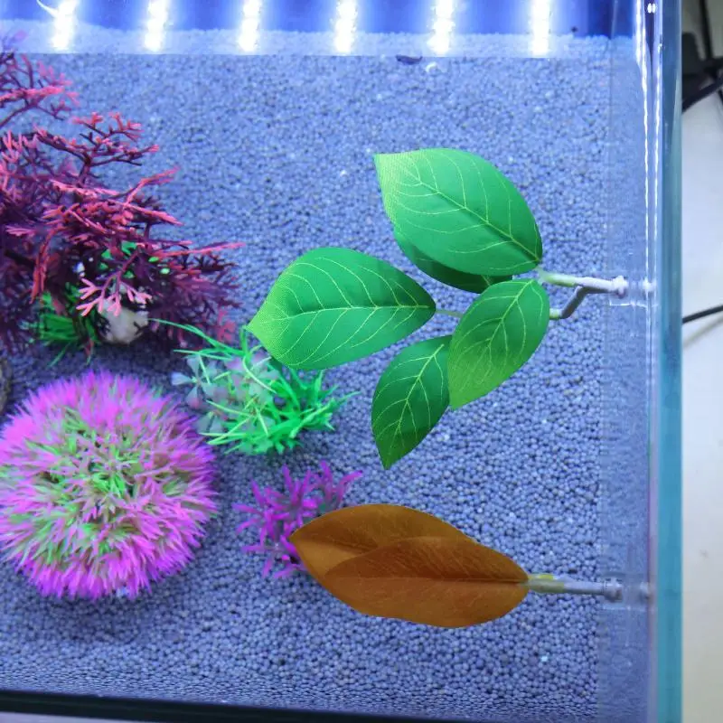 Betta Fish Leaf Hammock Aquari - Planted Aquarium Betta avis et prix