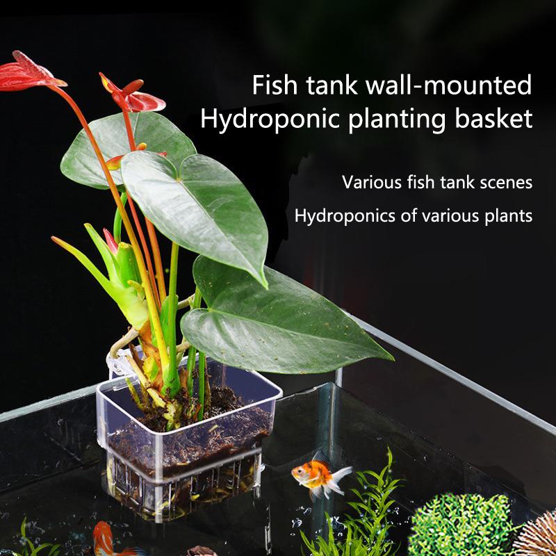 Aquarium Hydroponic Planting C - Aquarium Planted Tank Setup avis et prix