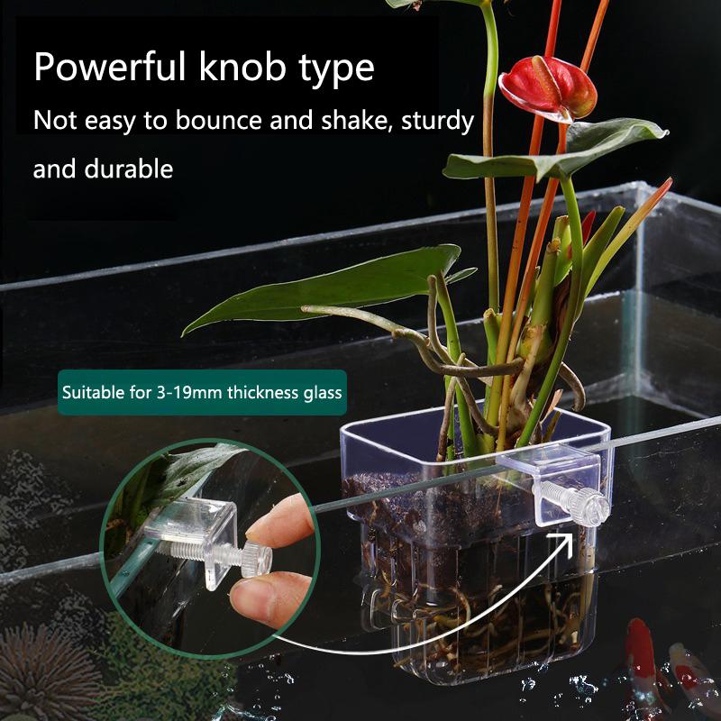 Aquarium Hydroponic Planting C - Aquarium Planted Tank Setup avis et prix