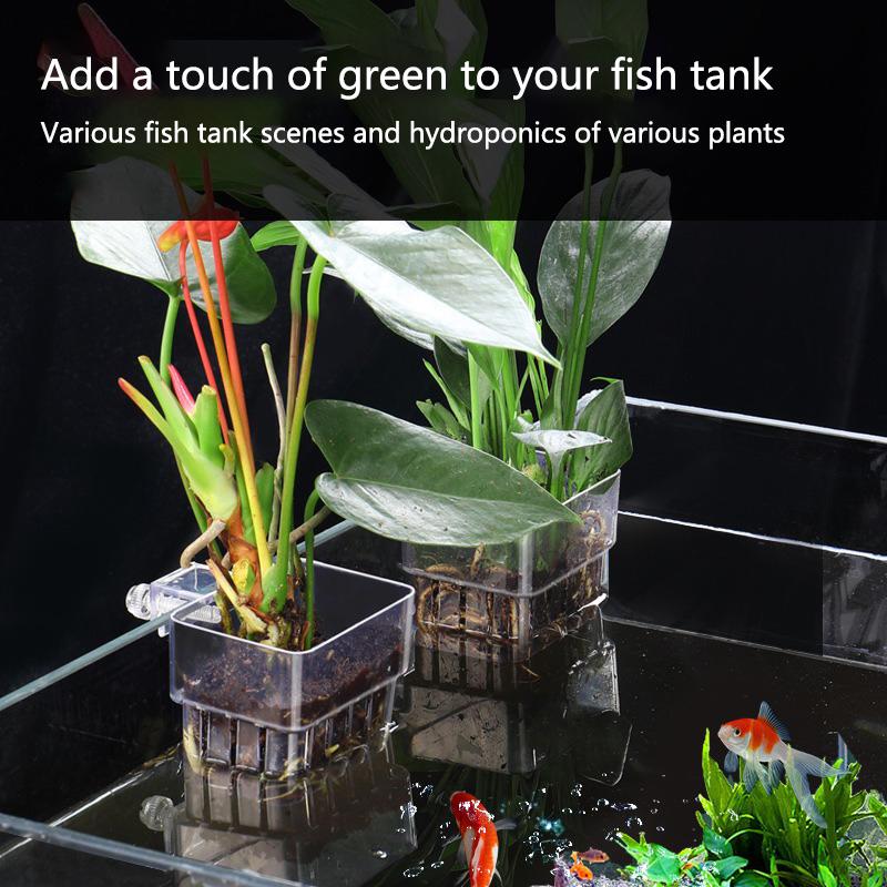 Aquarium Hydroponic Planting C - Aquarium Planted Tank Setup avis et prix