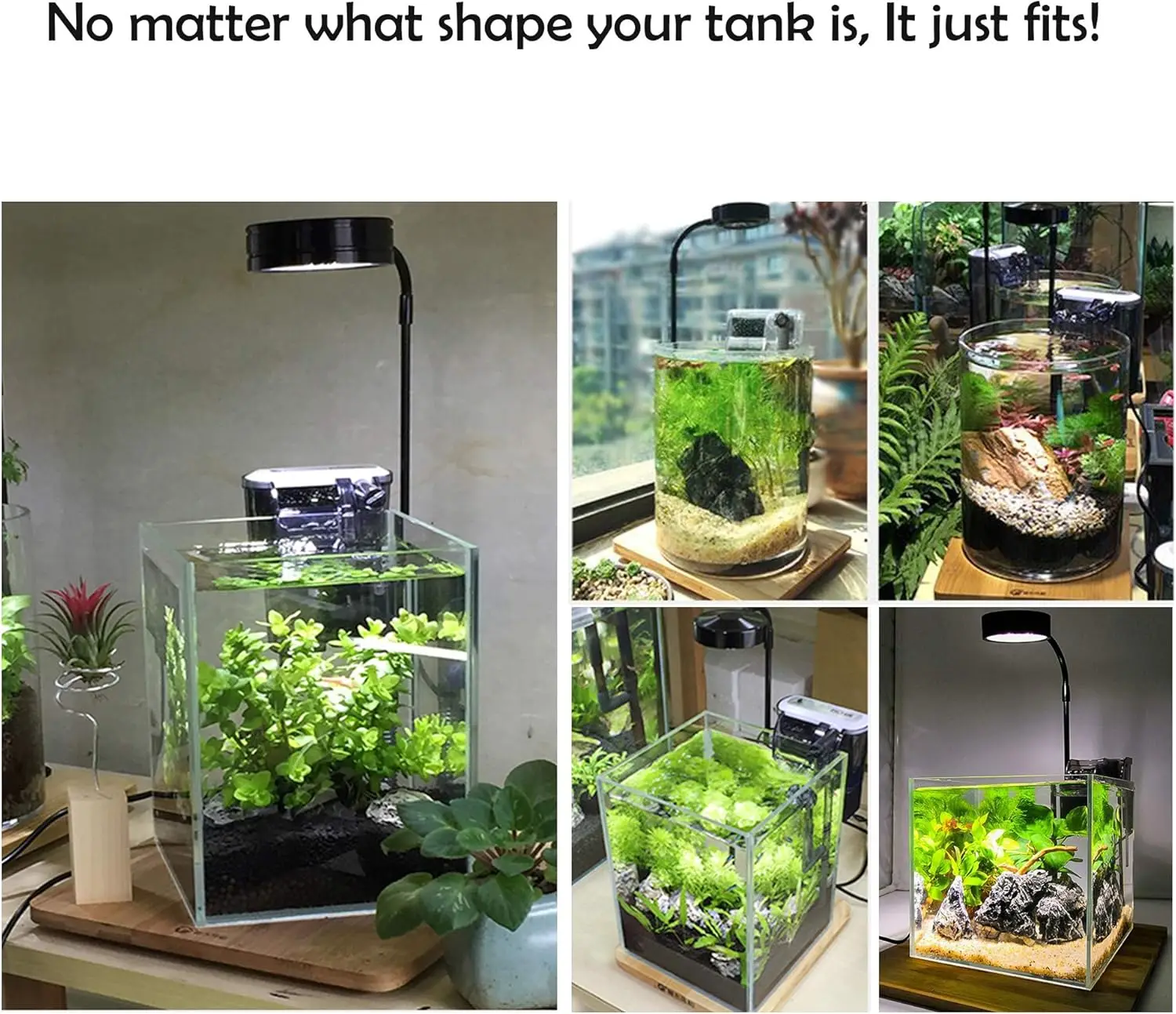 LED Aquarium Grow Light with B - Planted Aquarium Betta avis et prix