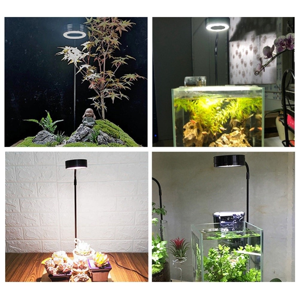 10W Fish Tank LED Lamp Retract - Aquarium Plant On Wood avis et prix