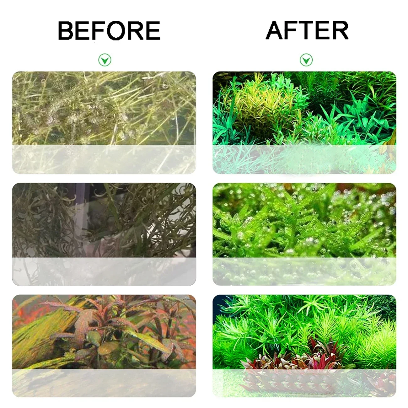 Aquarium CO2 Generator 2L DIY  - Planted Aquarium Co2 System avis et prix