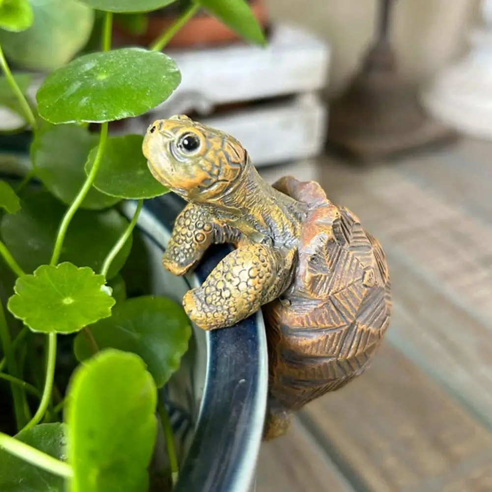Fishing Turtle Hanging Turtle  - Aquarium Planting avis et prix