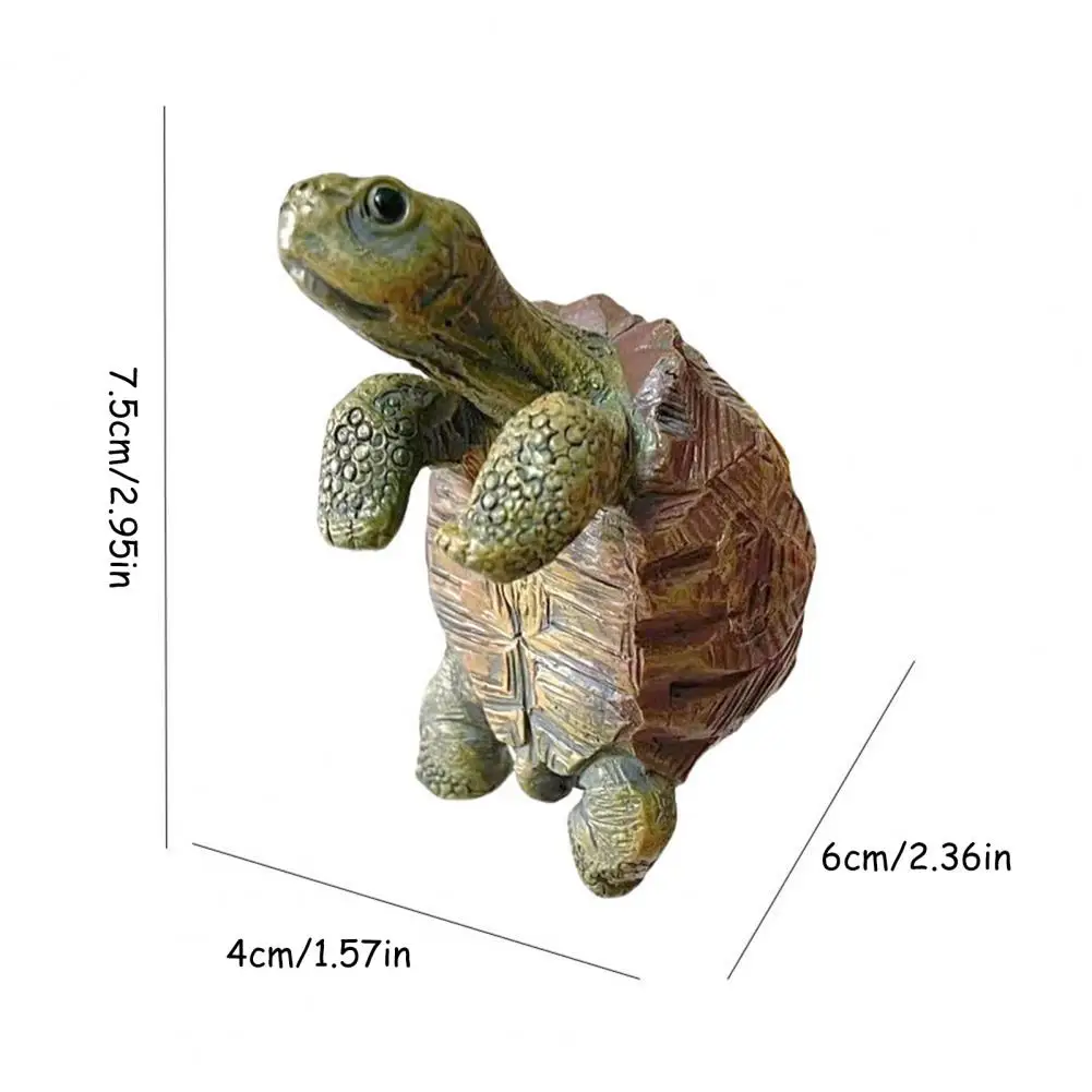 Fishing Turtle Hanging Turtle  - Aquarium Planting avis et prix