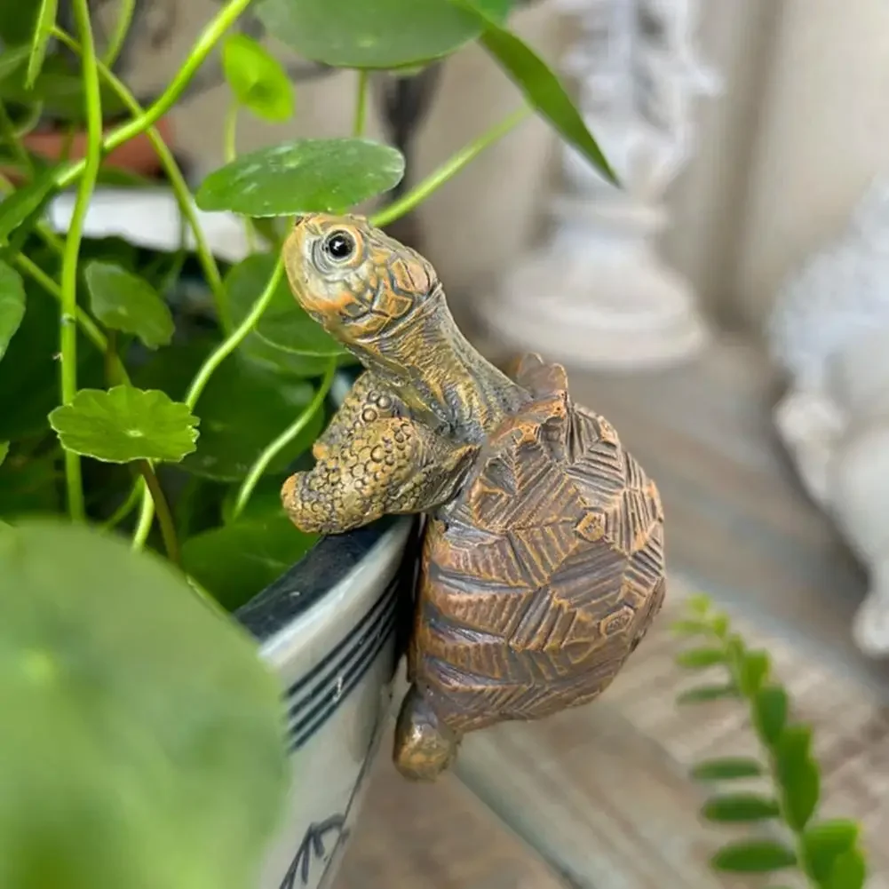 Fishing Turtle Hanging Turtle  - Aquarium Planting avis et prix