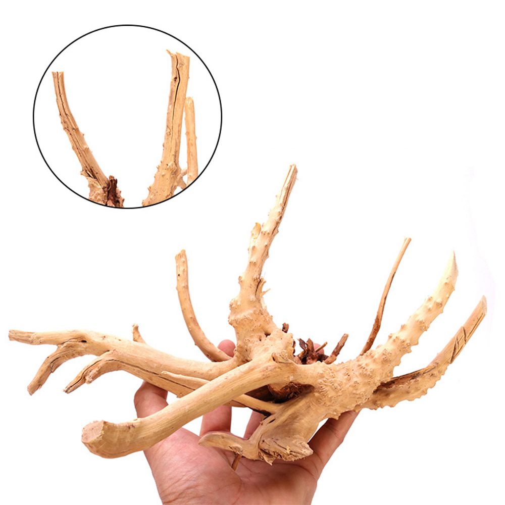 1 Pcs Wood Reptile Fish Tank O - Aquarium Plant Live avis et prix