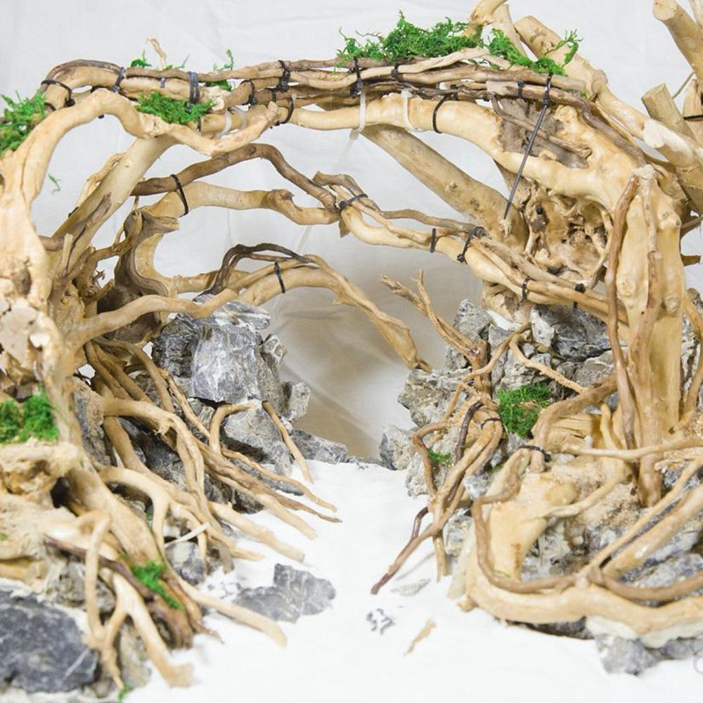 1 Pcs Wood Reptile Fish Tank O - Aquarium Plant Live avis et prix