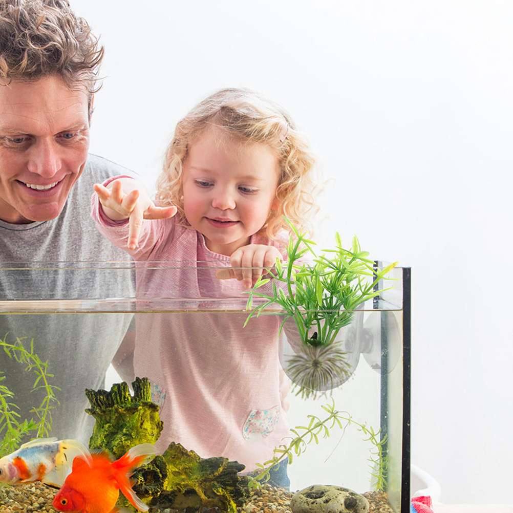 10Pcs Acrylic Aquarium Planter - Aquarium Planted Tank Setup avis et prix