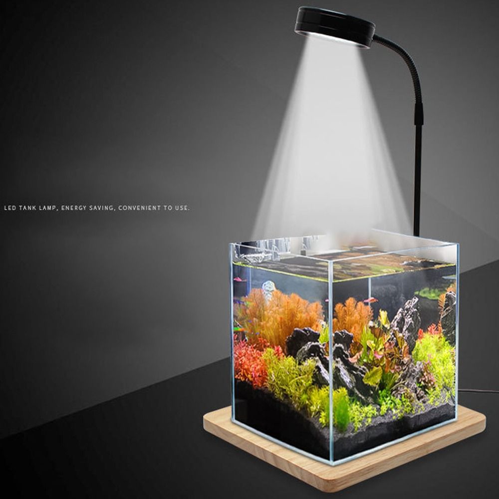 10W Fish Tank LED Lamp with Wo - Aquarium Plant On Wood avis et prix