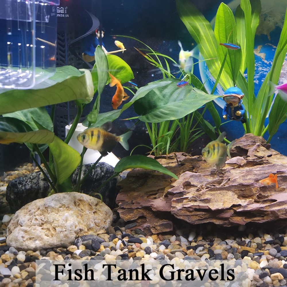 20 lbs Natural Fish Tank Grave - Aquarium Planted Tank Soil avis et prix