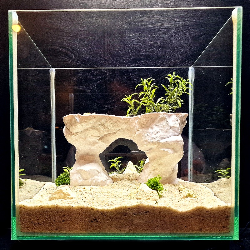 3D Printed Aquarium Planting B - Aquarium Planted Tank Soil avis et prix