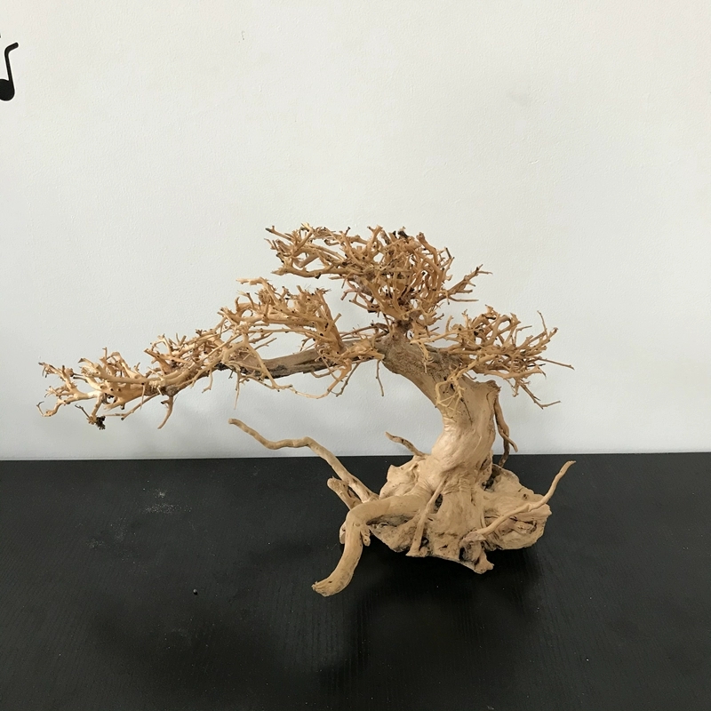 100% Handcraft Aquarium Bonsai - Aquarium Plant On Wood avis et prix