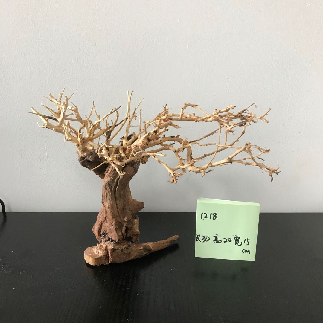 100% Handcraft Aquarium Bonsai - Aquarium Plant On Wood avis et prix