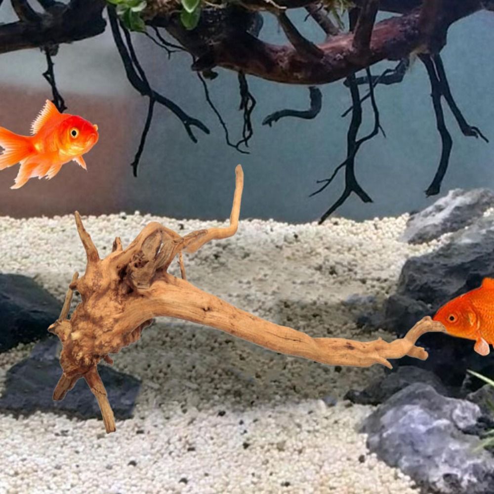 Natural Tree Trunk Aquarium De - Aquarium Plant Live avis et prix