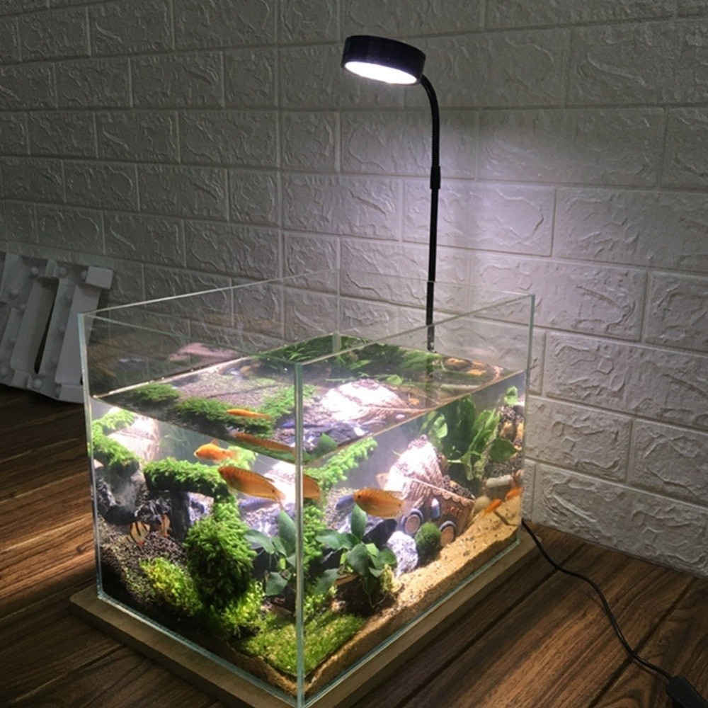 10W Fish Tank LED Lamp with Wo - Aquarium Plant On Wood avis et prix