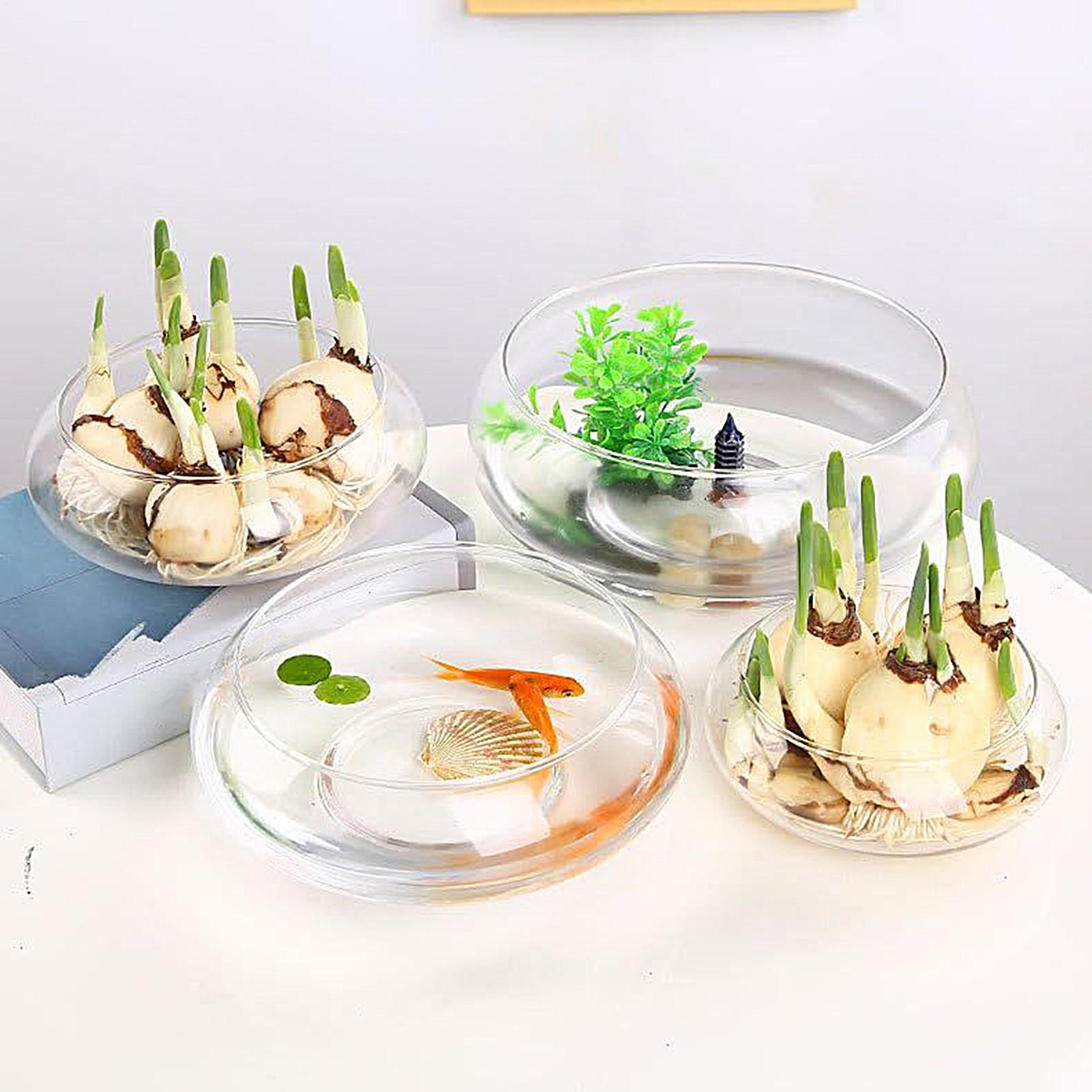 Fish Glass Bowl Glass Large Hy - Aquarium Planting avis et prix