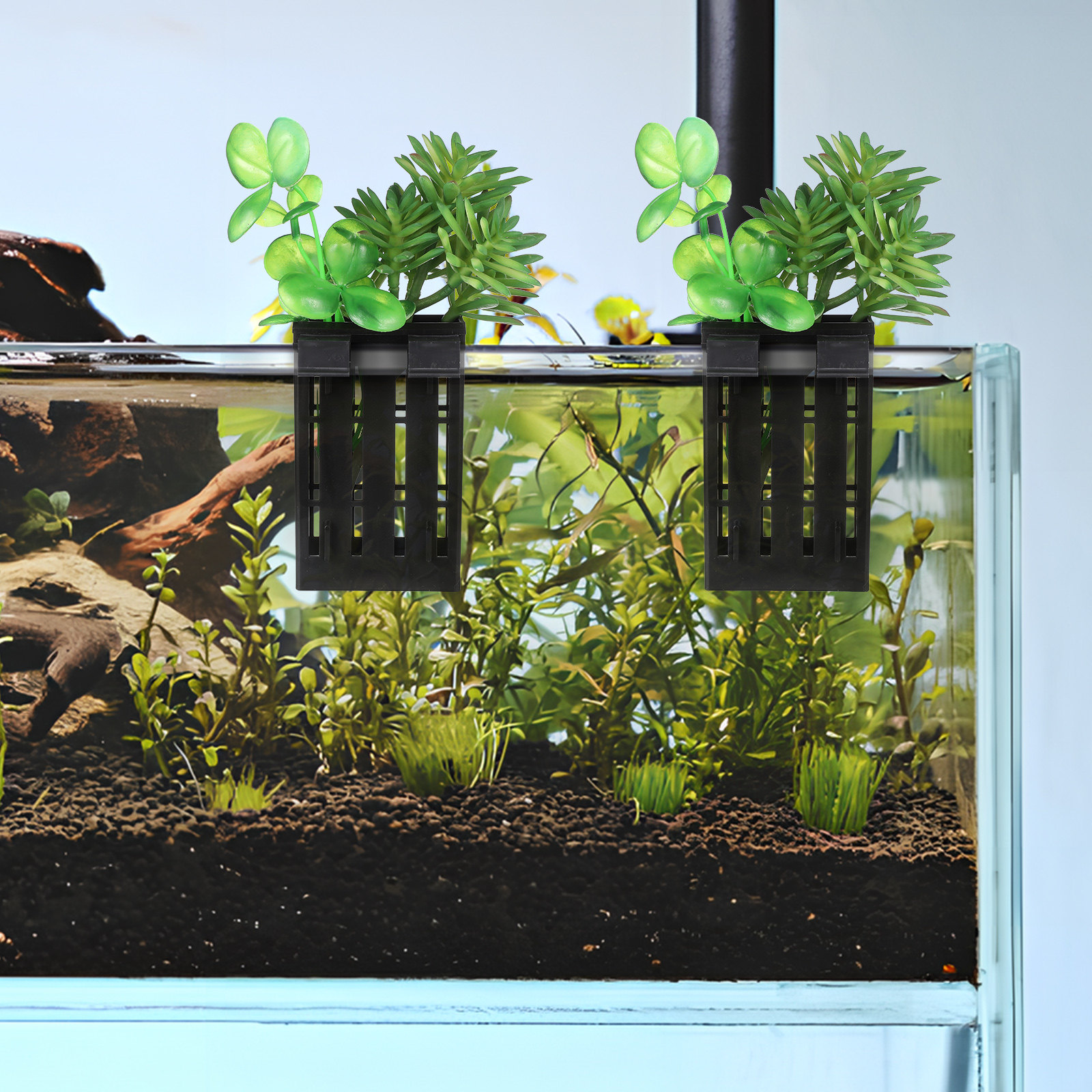 10Pcs Fish Tank Hanging Plant  - Aquarium Planting avis et prix