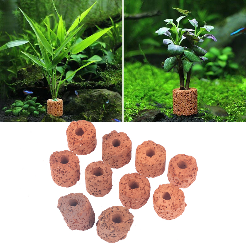 10Pcs Mini Aquatic Plant Ring  - Aquarium Planted Tank Setup avis et prix