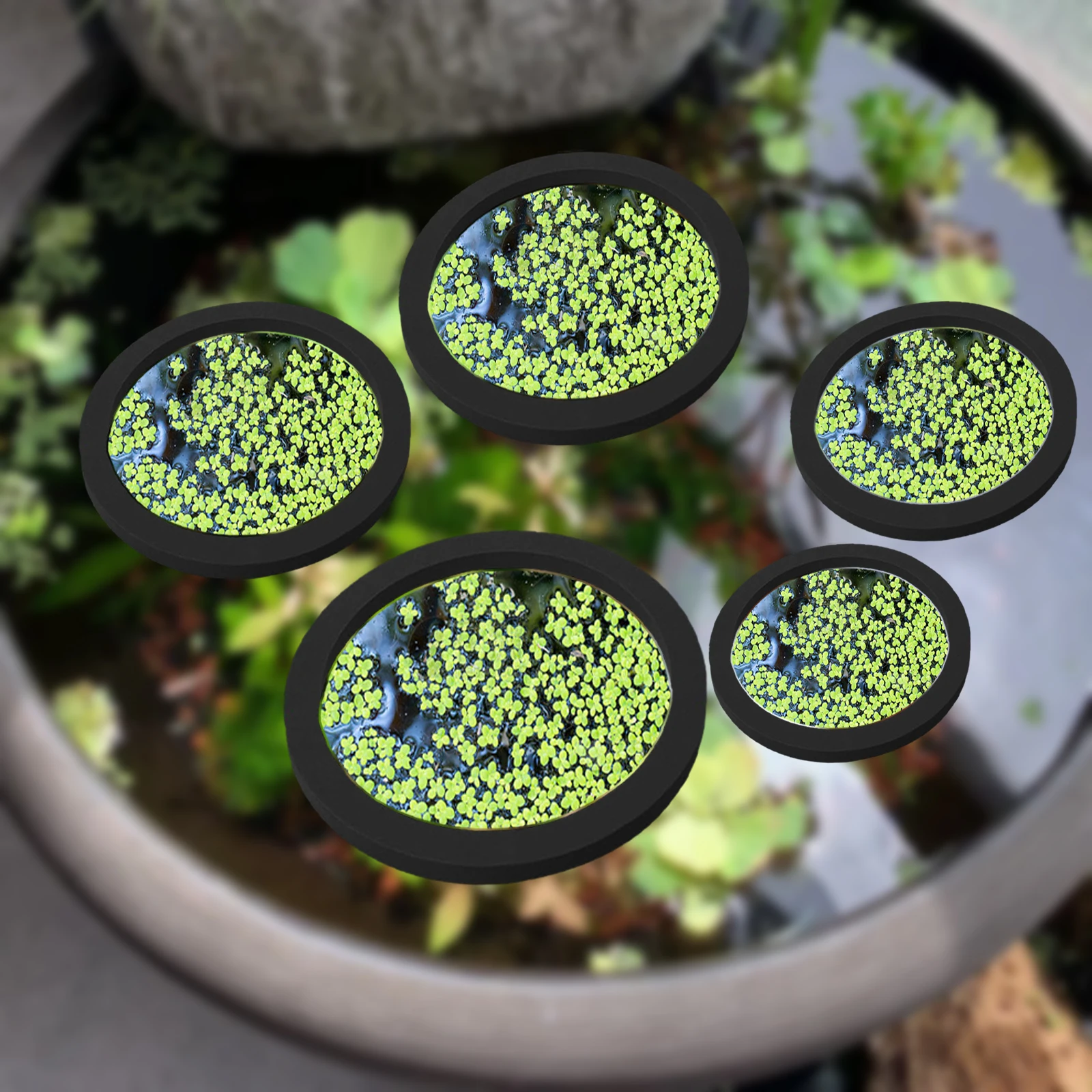 5Pcs EVA Fish Feeding Ring Aqu - Aquarium Planting avis et prix