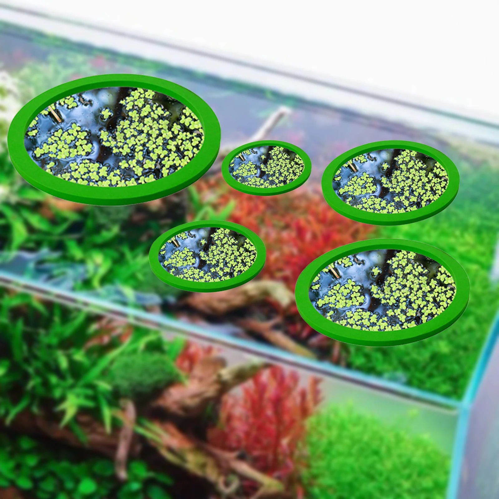 5Pcs EVA Fish Feeding Ring Aqu - Aquarium Planting avis et prix