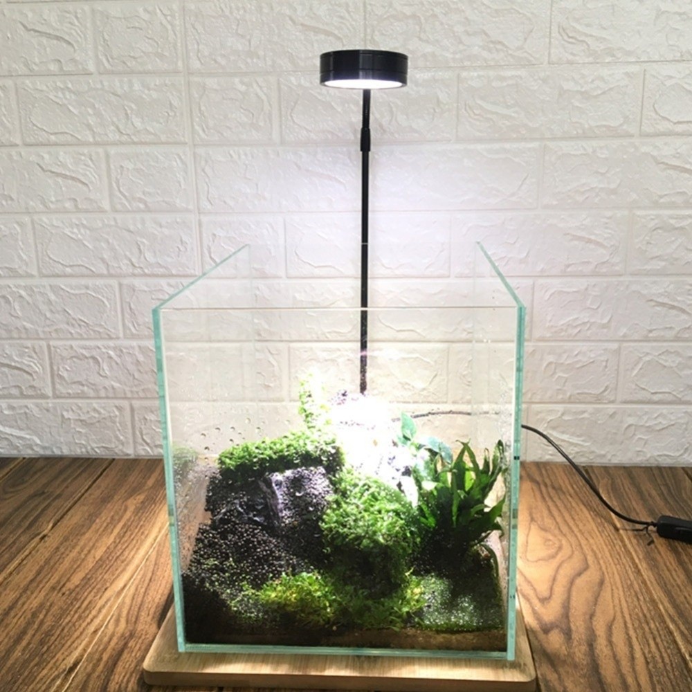 10W Fish Tank LED Lamp with Wo - Aquarium Plant On Wood avis et prix
