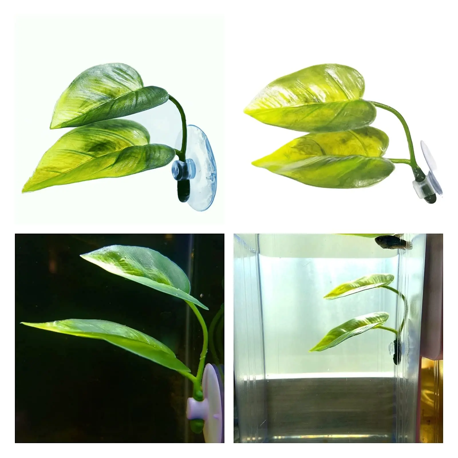 Pets Fish Tank Decor Betta Rel - Planted Aquarium Betta avis et prix