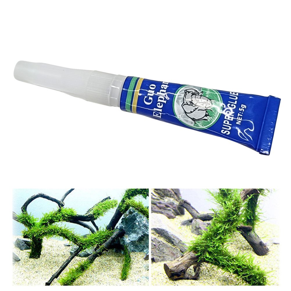 Fish Tank Landscaping Moss Glu - Aquarium Plant Glue Gel avis et prix
