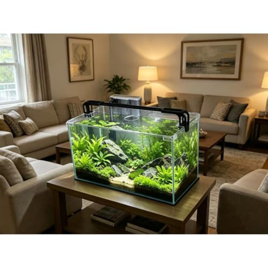 10 Gallon Glass Fish Tank, Eas - Planted Aquarium Betta avis et prix