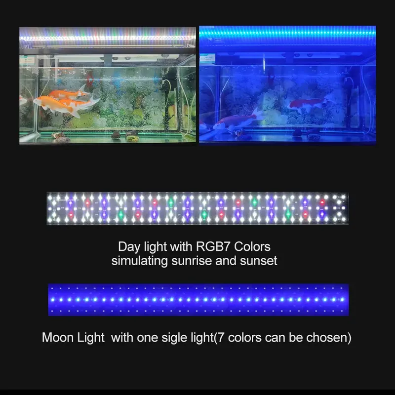 RGB LED Aquarium Light 12-48 I - Planted Aquarium Hours avis et prix