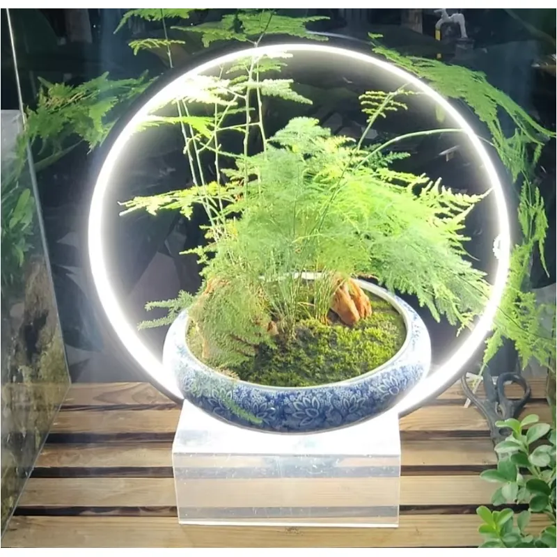 Desktop LED Aquarium Lamp for  - Planted Aquarium Hours avis et prix