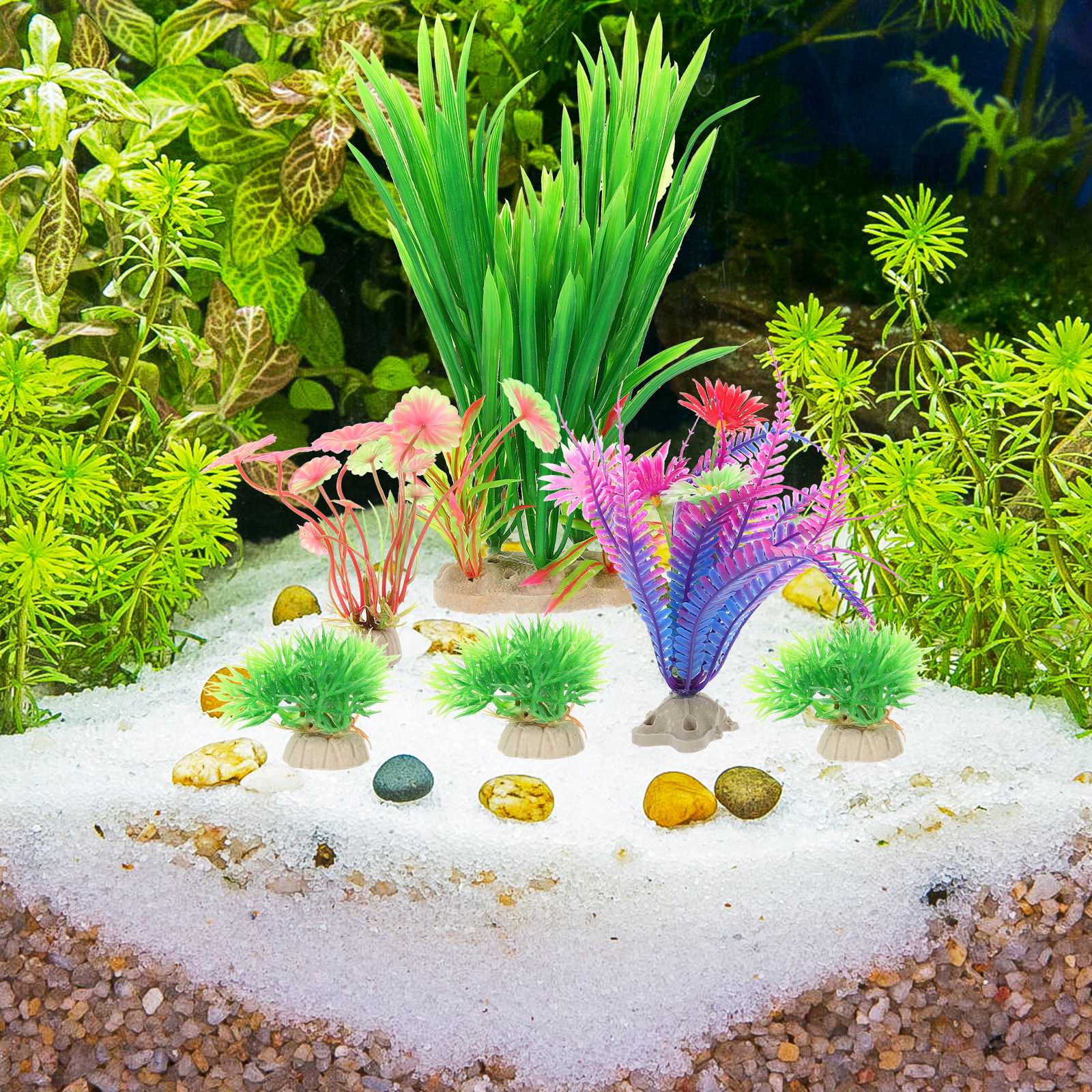 8Pcs Lifelike Plastic Aquatic  - Aquarium Planted Tank Setup avis et prix